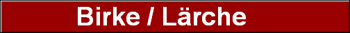 Birke / Lärche    