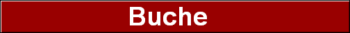 Buche  